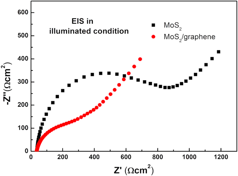 Photoelectrochemical-type sunlight photodetector based on MoS2/graphene ...