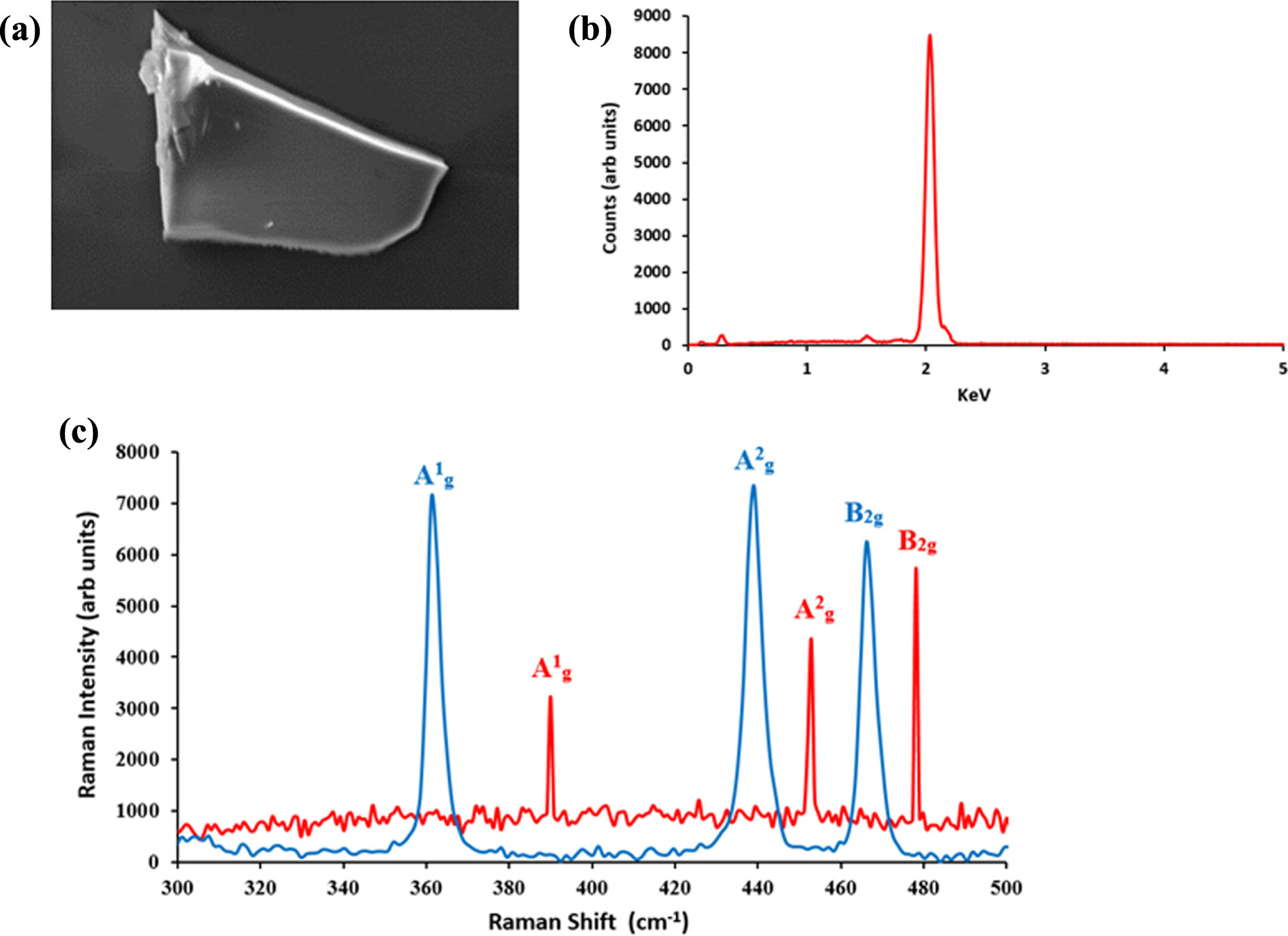 Characterization and sonochemical synthesis of black phosphorus from ...