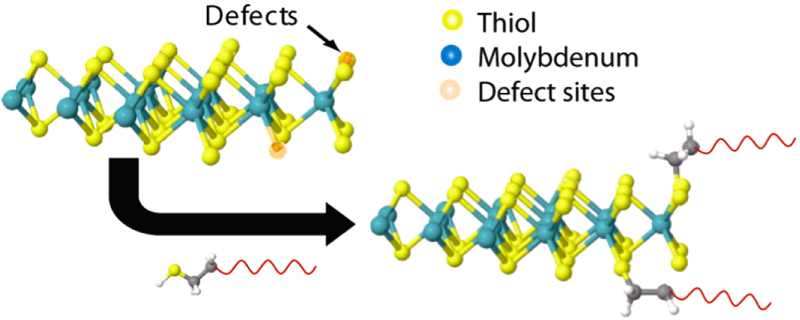 Defect engineering of two-dimensional transition metal dichalcogenides ...