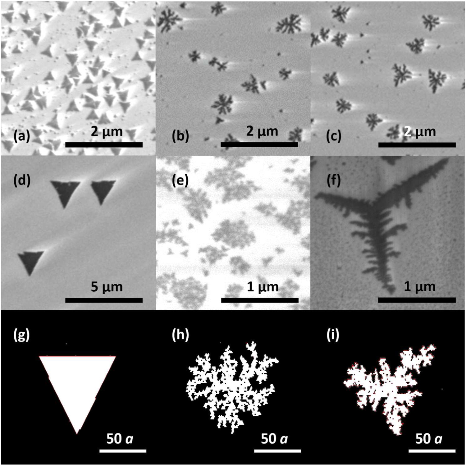 First principles kinetic Monte Carlo study on the growth patterns of ...