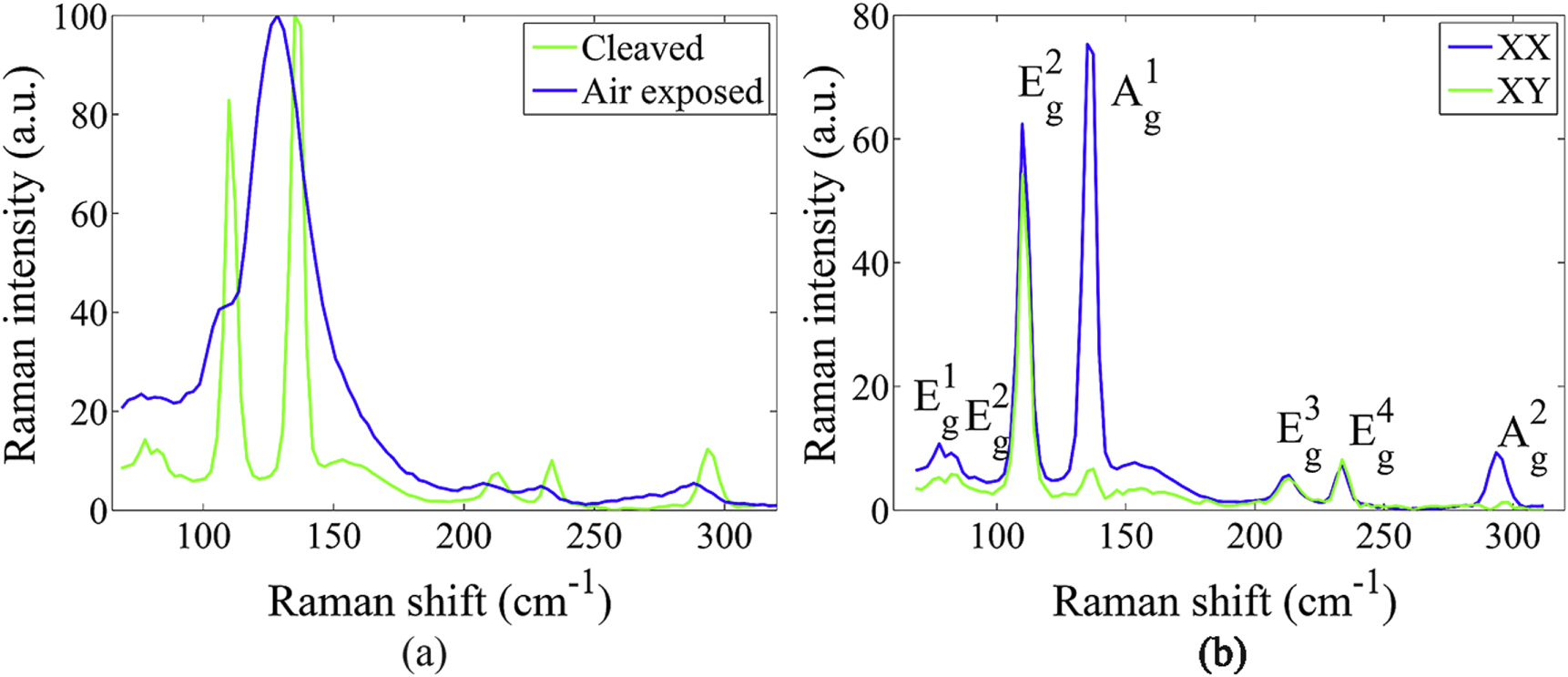 Magneto-elastic coupling in a potential ferromagnetic 2D atomic crystal ...