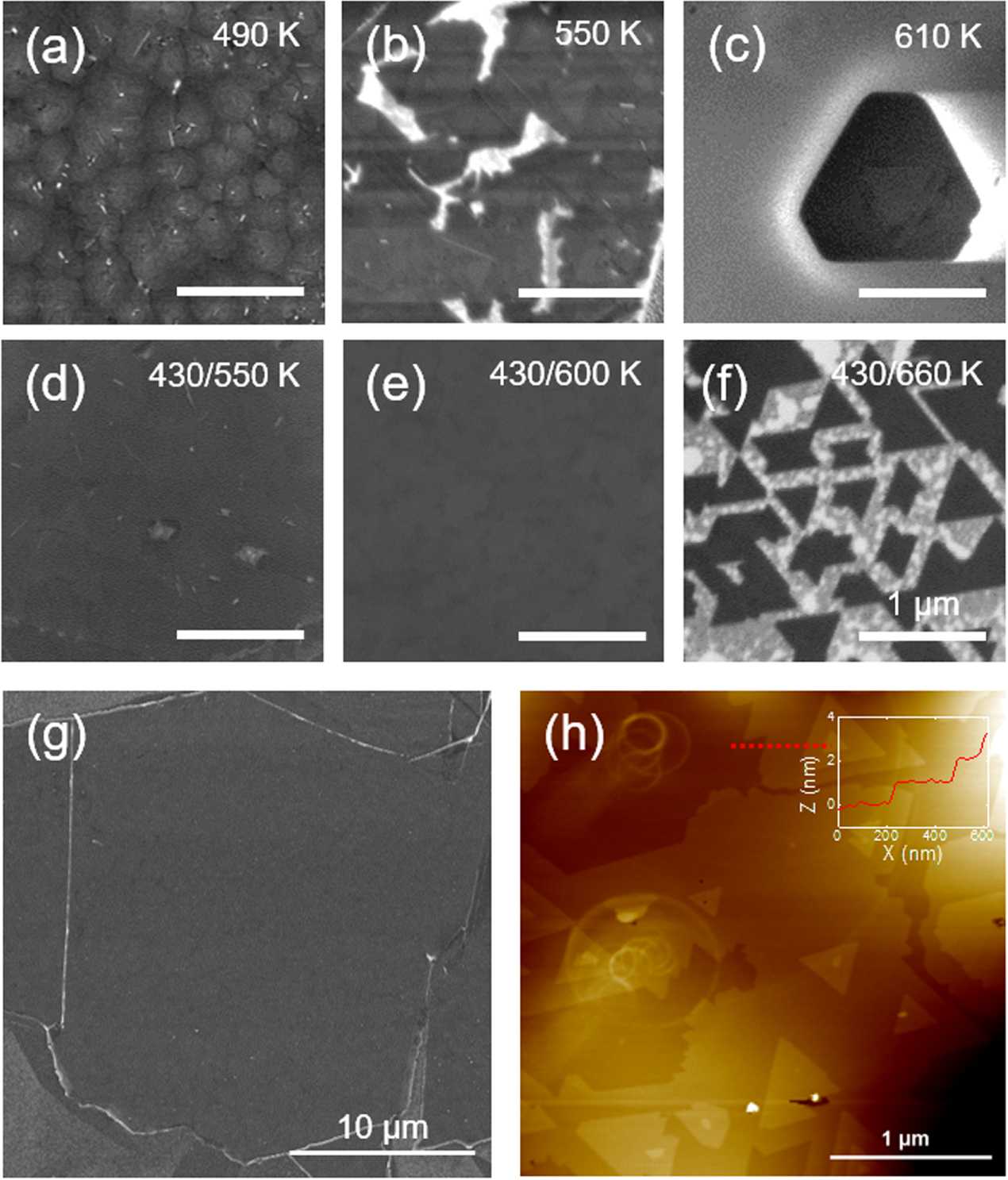 Molecular beam epitaxial growth and electronic transport properties of ...