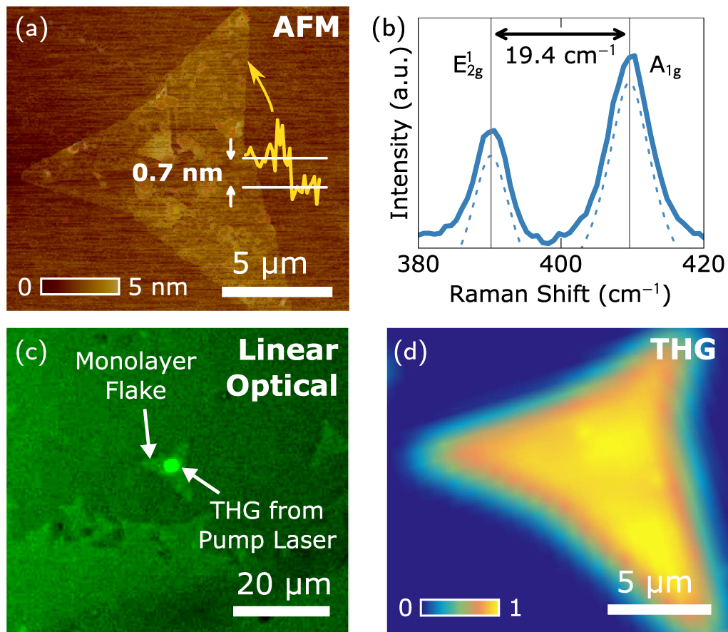 Characterization of the second- and third-order nonlinear optical ...