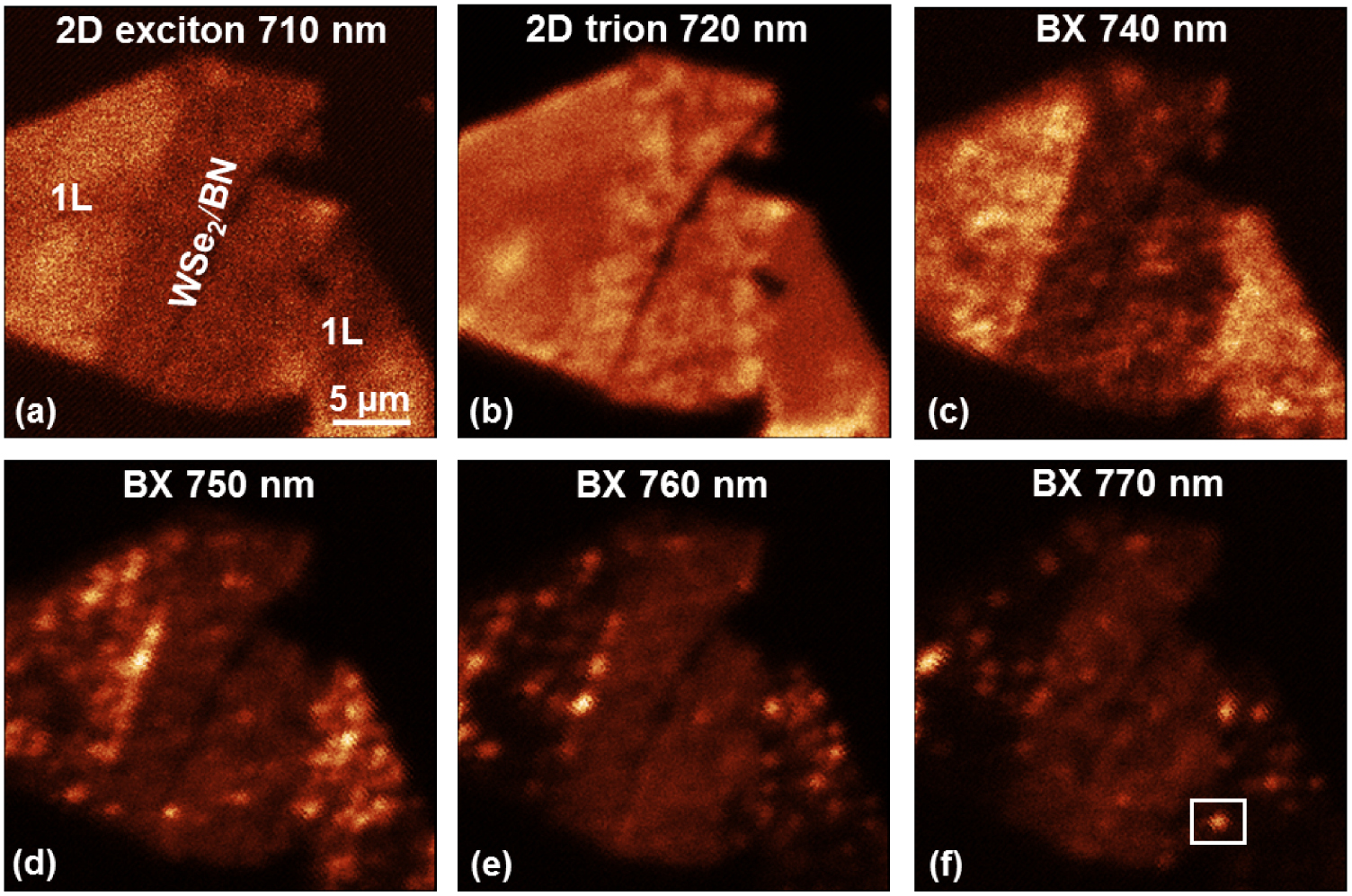 Nanobubble induced formation of quantum emitters in monolayer ...