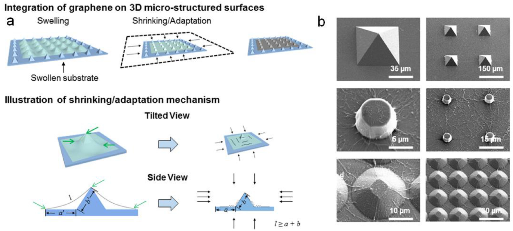 ソフト Molecular Electronics: Creating and Bridging Molecular