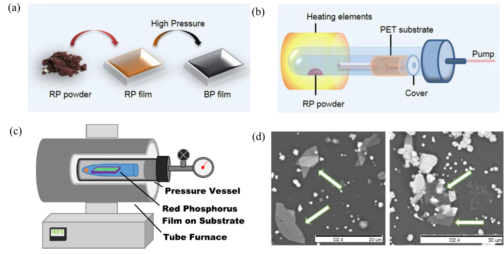 Phosphorene for energy and catalytic application—filling the gap