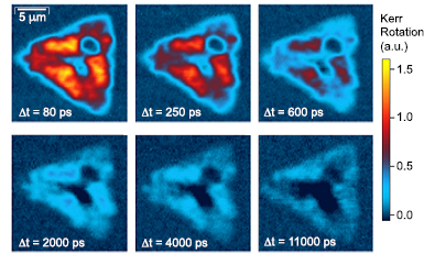 Figure 2. Refer to the following caption and surrounding text.