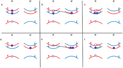 Figure 4. Refer to the following caption and surrounding text.
