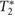 $T_{2}^{*}$ 