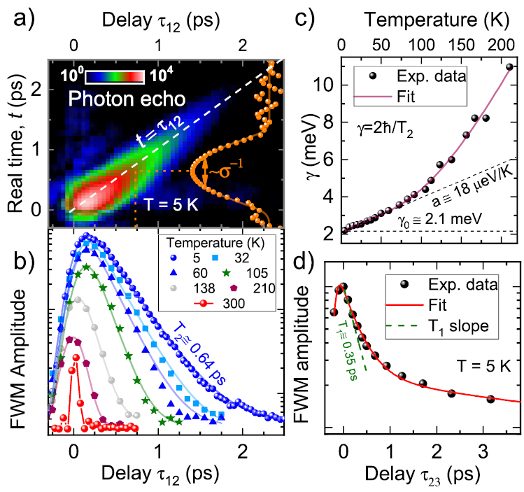 Impact of environment on dynamics of exciton complexes in a WS2 ...