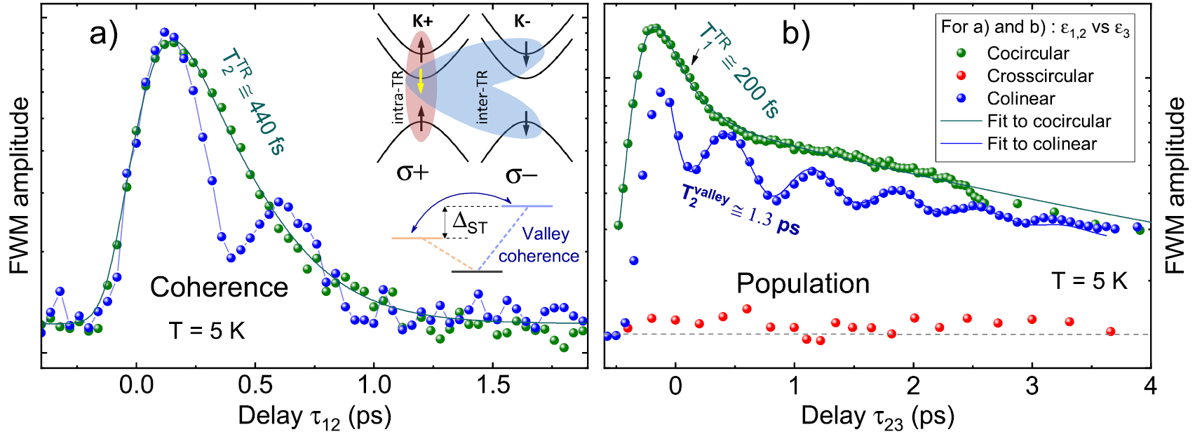 Impact of environment on dynamics of exciton complexes in a WS2 ...
