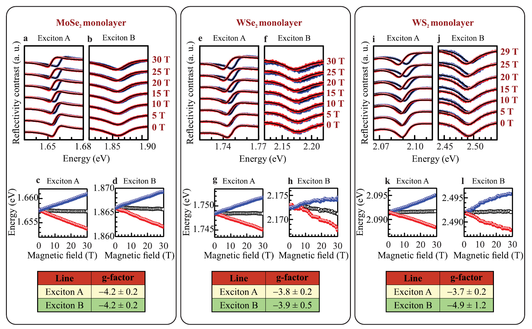 Orbital, spin and valley contributions to Zeeman splitting of excitonic ...