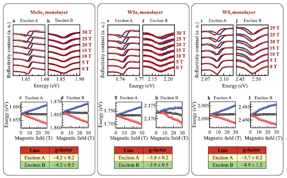 Orbital, spin and valley contributions to Zeeman splitting of excitonic ...