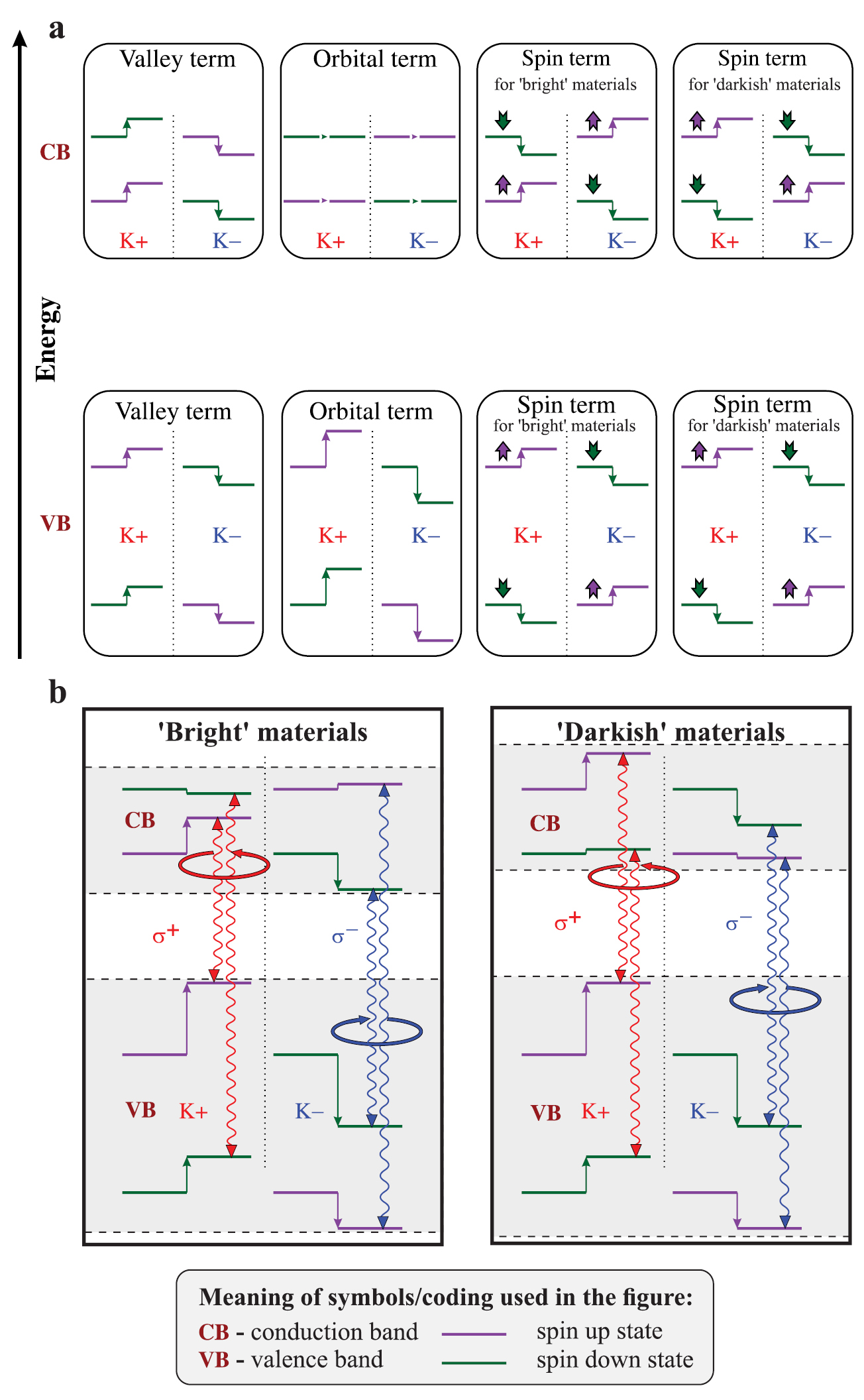 Orbital, spin and valley contributions to Zeeman splitting of excitonic ...