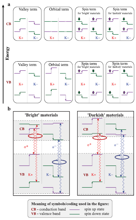 Orbital, spin and valley contributions to Zeeman splitting of excitonic ...