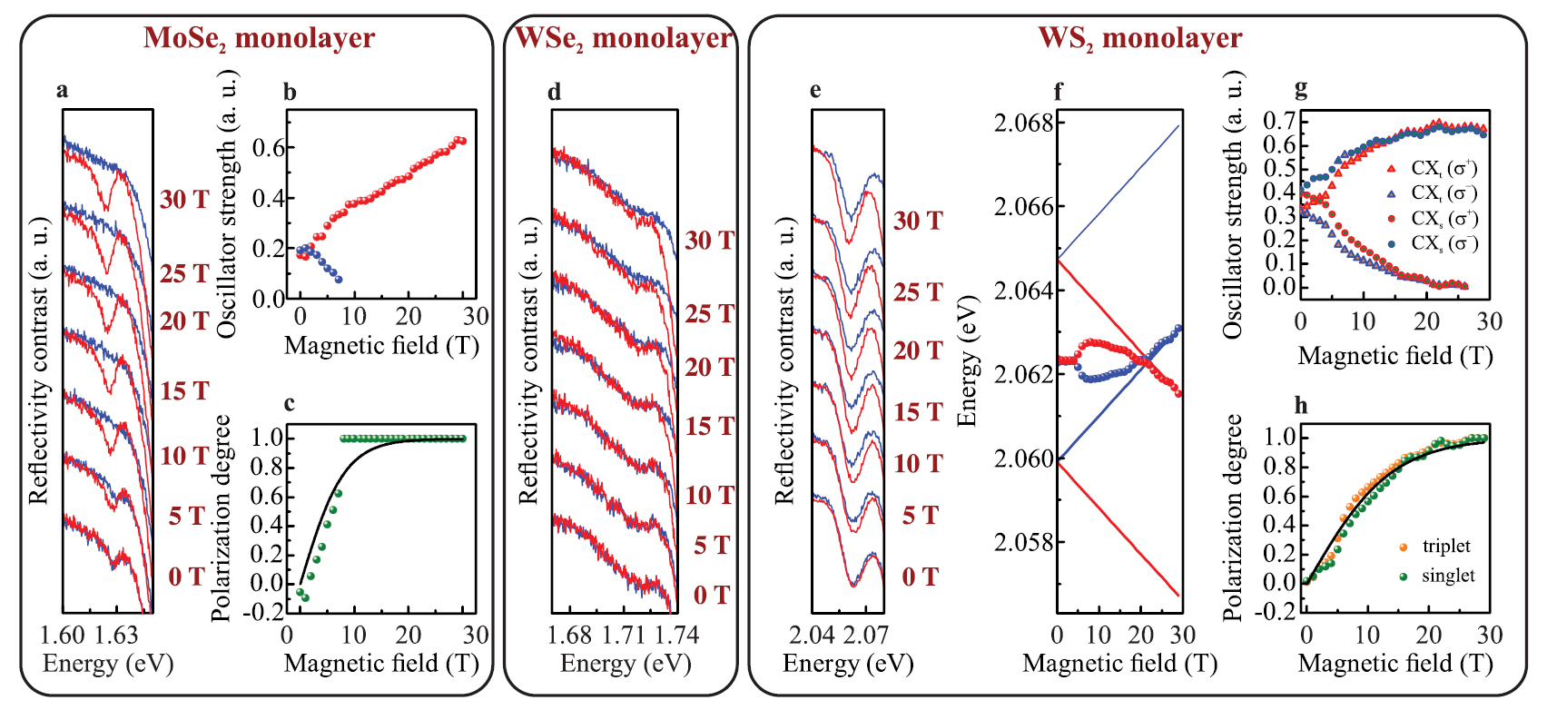 Orbital, spin and valley contributions to Zeeman splitting of excitonic ...