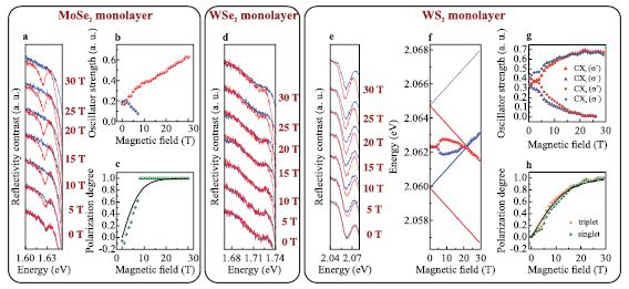 Orbital, spin and valley contributions to Zeeman splitting of excitonic ...