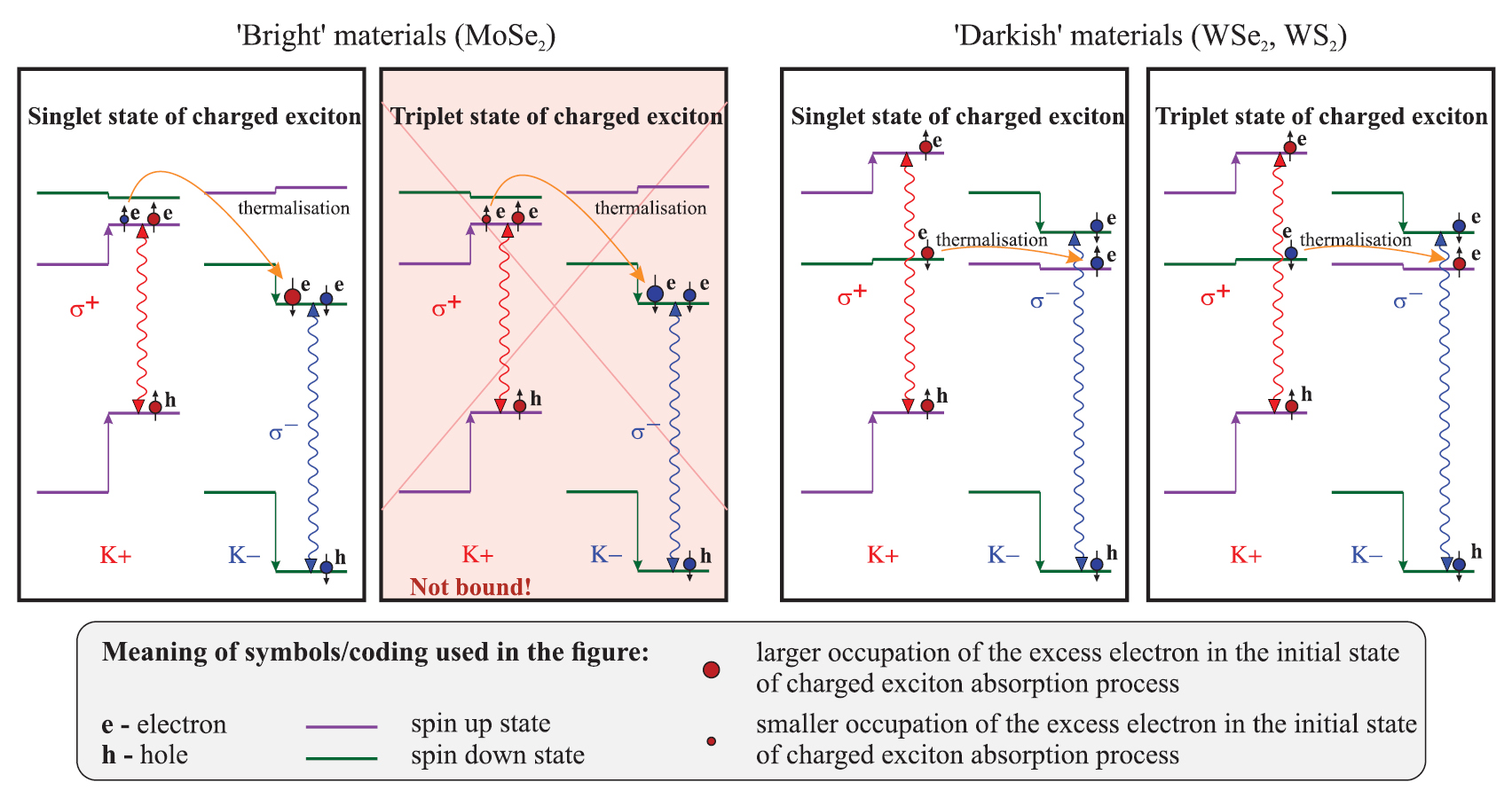 Orbital, spin and valley contributions to Zeeman splitting of excitonic ...
