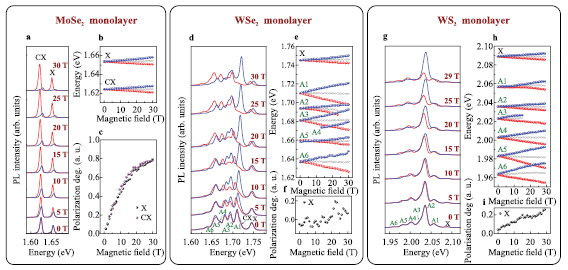 Orbital, spin and valley contributions to Zeeman splitting of excitonic ...