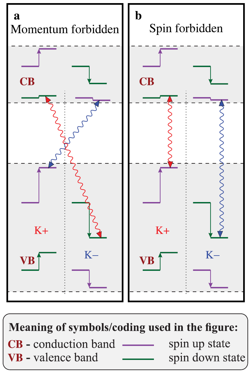 Orbital, spin and valley contributions to Zeeman splitting of excitonic ...
