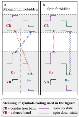 Orbital, spin and valley contributions to Zeeman splitting of excitonic ...
