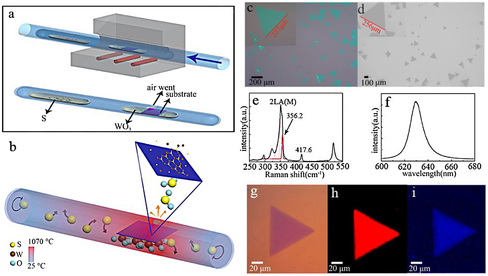 Ws2 Work Function Facile access to shape-controlled growth of WS2 monolayer via ...