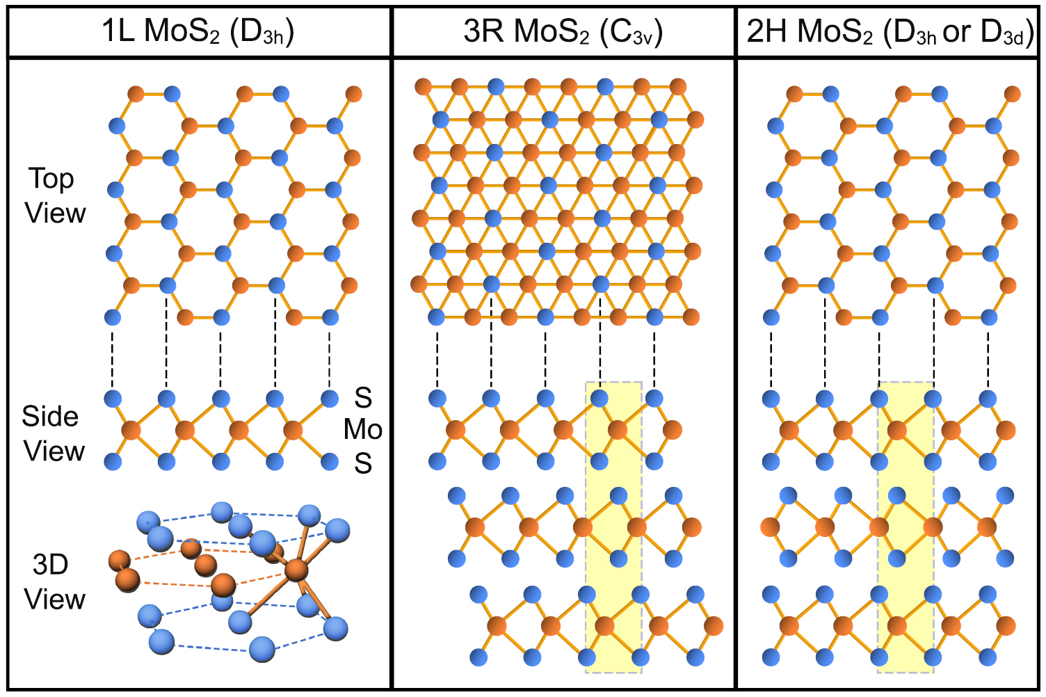 Stacking-dependent interlayer phonons in 3R and 2H MoS2 - IOPscience