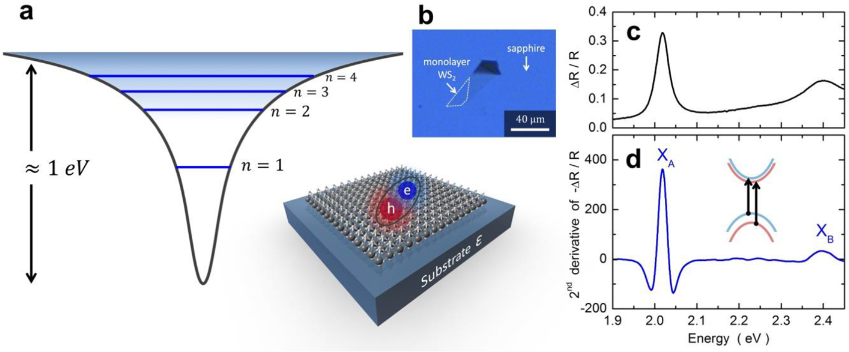 Dielectric impact on exciton binding energy and quasiparticle bandgap ...