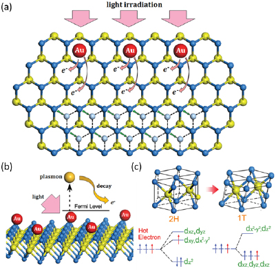 Chemical and structural stability of 2D layered materials - IOPscience