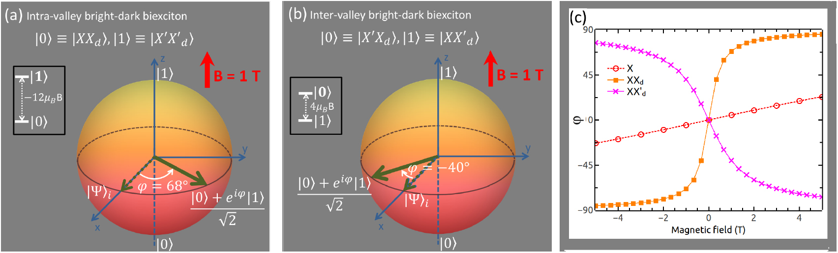 Controlling valley splitting and polarization of dark- and bi-excitons ...