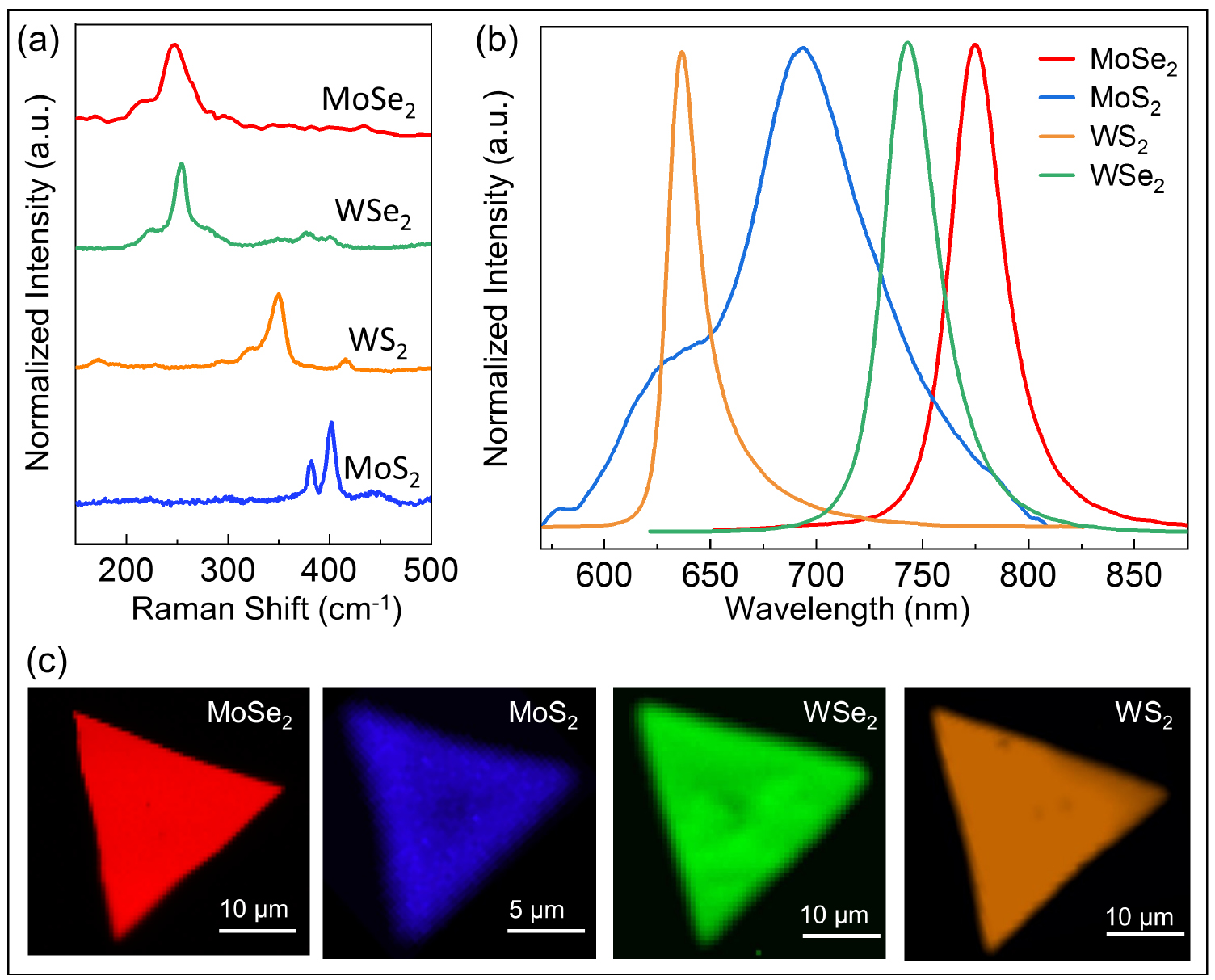 Accelerated synthesis of atomically-thin 2D quantum materials by a ...