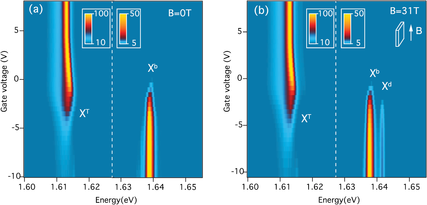Magnetic field mixing and splitting of bright and dark excitons in ...