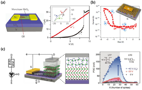 2D semiconducting materials for electronic and optoelectronic ...