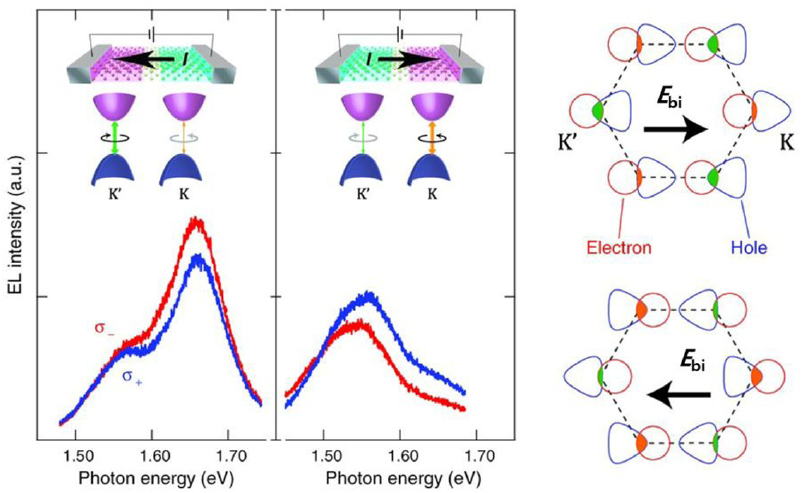 2D semiconducting materials for electronic and optoelectronic ...