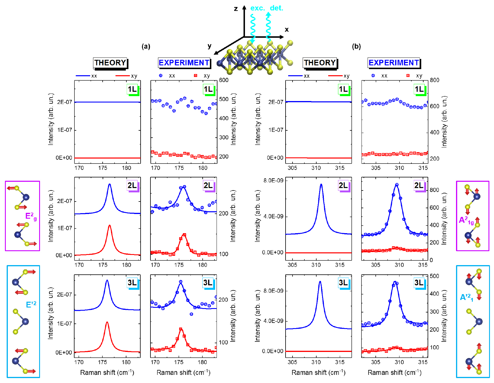 Lattice Raman New insights in the lattice dynamics of monolayers, bilayers, and ...