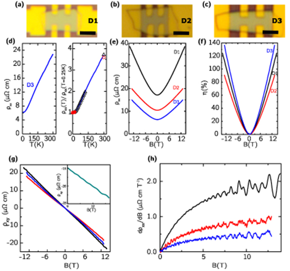 Multi-frequency Shubnikov-de Haas oscillations in topological semimetal ...