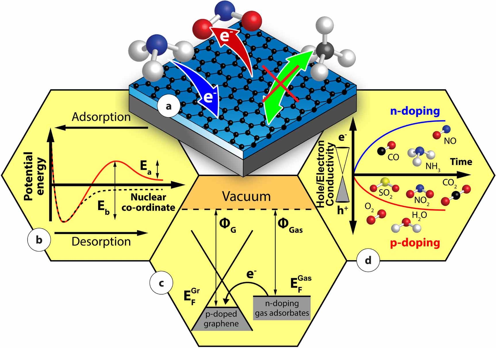 Frontiers of graphene and 2D material-based gas sensors for ...