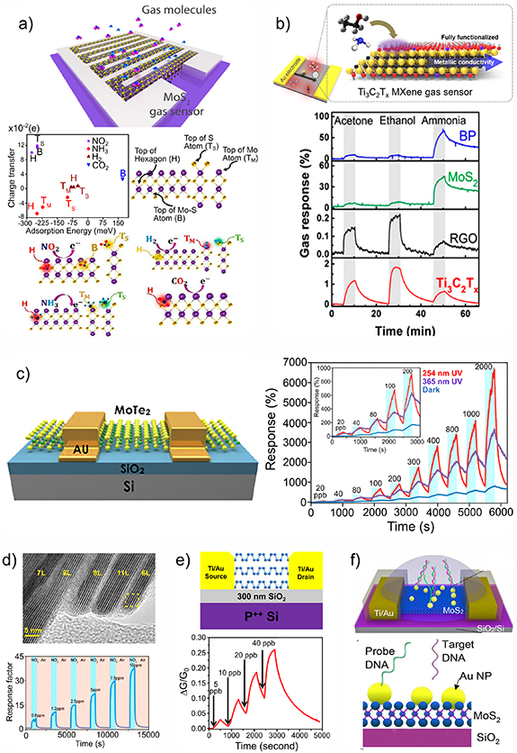 Frontiers of graphene and 2D material-based gas sensors for ...
