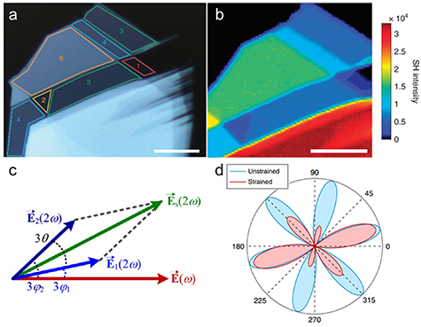 Second harmonic generation in 2D layered materials - IOPscience
