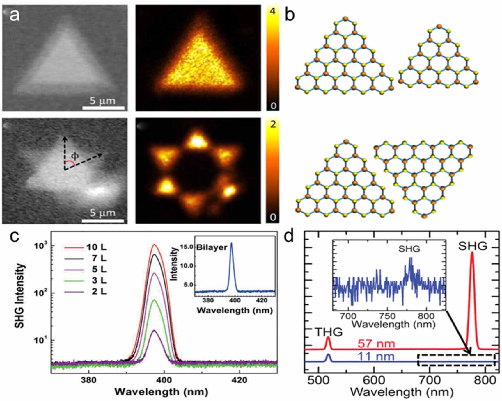 Second harmonic generation in 2D layered materials - IOPscience