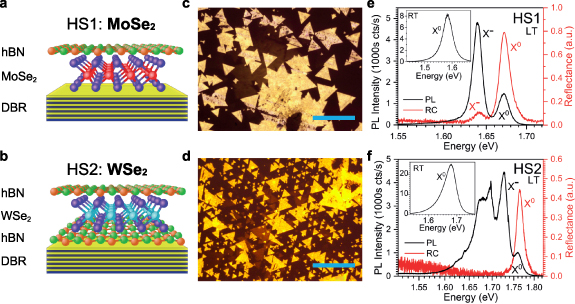 Strong exciton-photon coupling in large area MoSe2 and WSe2 ...
