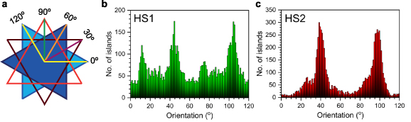 Strong exciton-photon coupling in large area MoSe2 and WSe2 ...