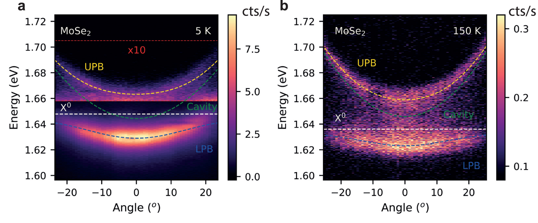 Strong exciton-photon coupling in large area MoSe2 and WSe2 ...