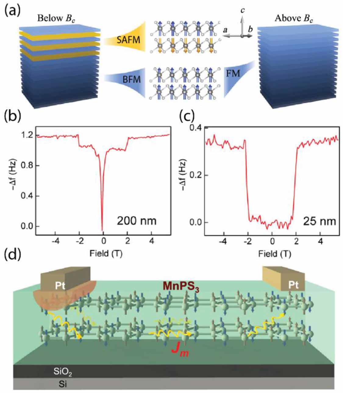 An outlook into the flat land of 2D materials beyond graphene ...