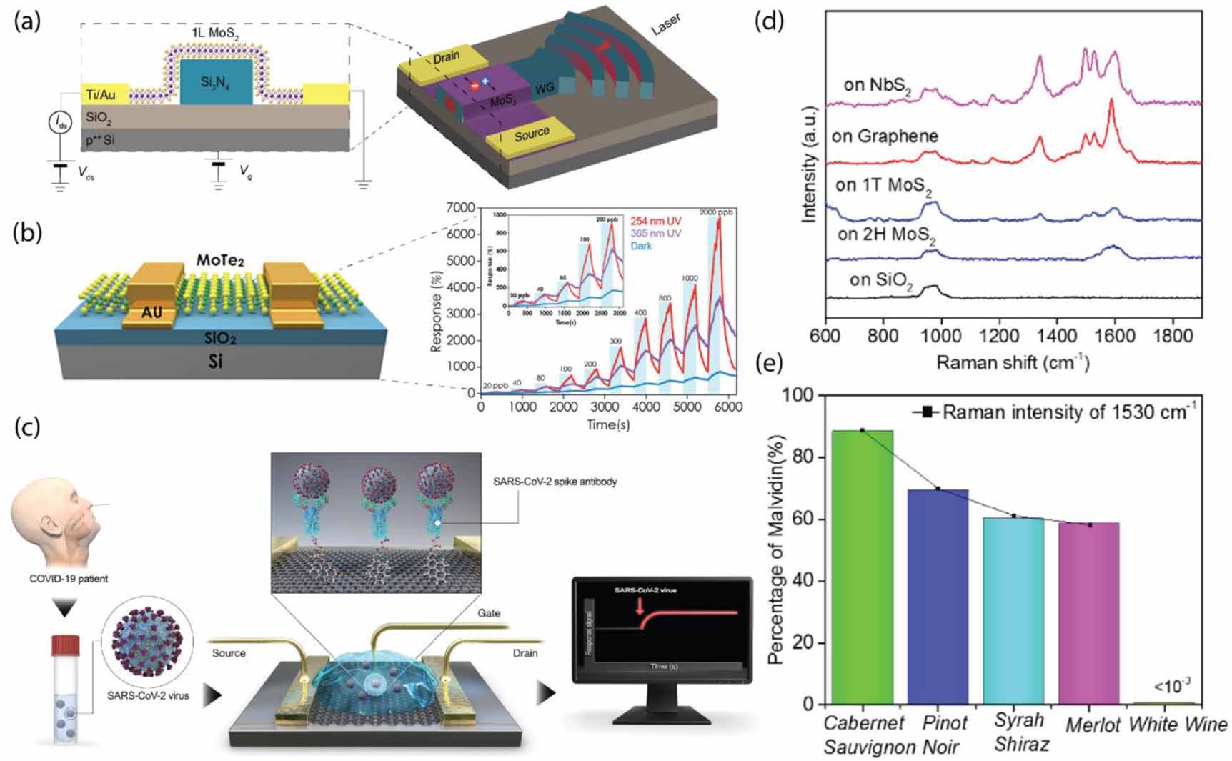 An outlook into the flat land of 2D materials beyond graphene ...