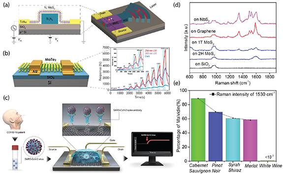 An outlook into the flat land of 2D materials beyond graphene ...