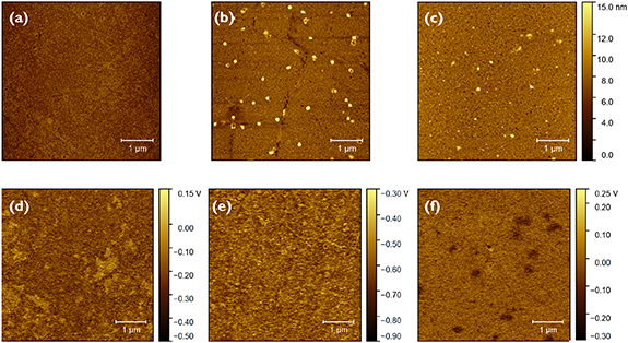 Graphene based Van der Waals contacts on MoS2 field effect transistors ...