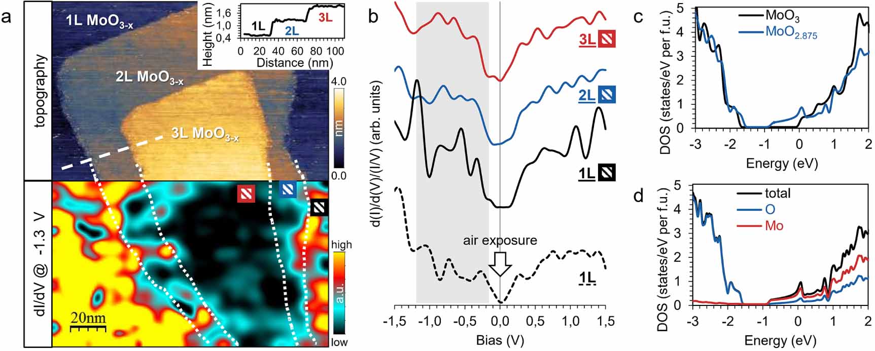 Local electronic structure of stable monolayers of α-MoO3− x grown on ...