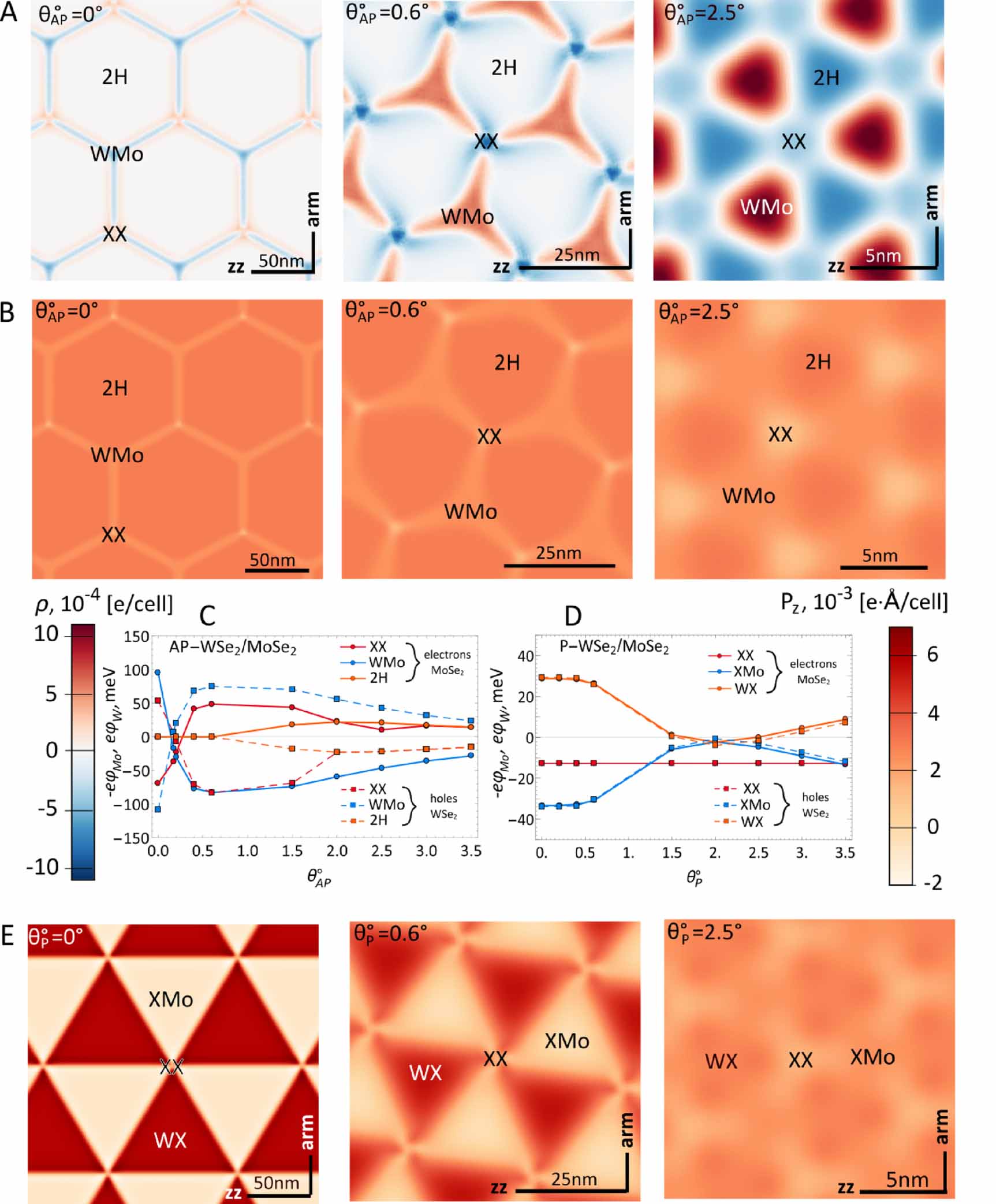 Piezoelectric networks and ferroelectric domains in twistronic ...