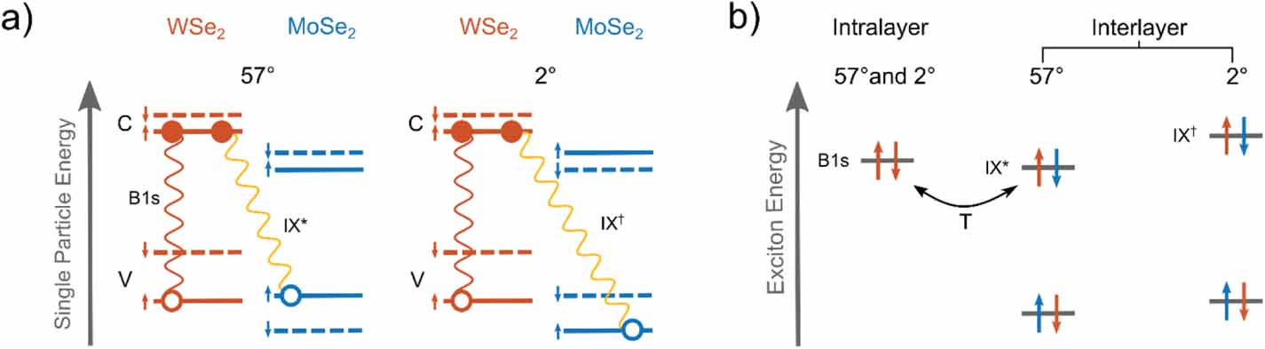 Superposition of intra- and inter-layer excitons in twistronic MoSe2 ...